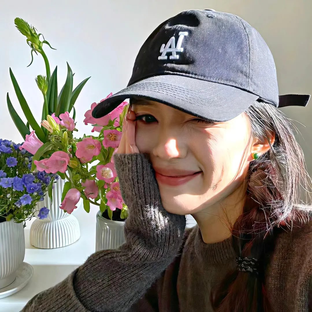 鱼与猫